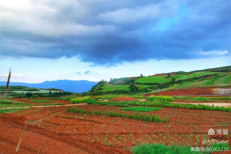故乡的泥土芬芳